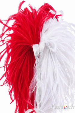 Federbusch Strauss - Breite 10-12 cm, Höhe 25 cm - weiss-rot